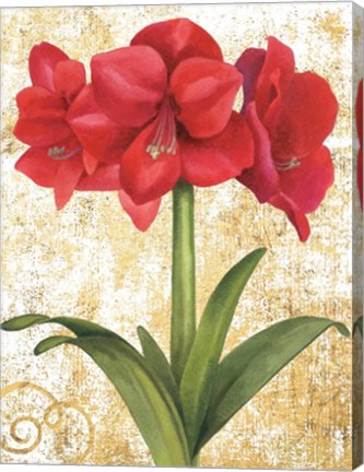 Framed Winter Birds Amaryllis II Gold and White Print