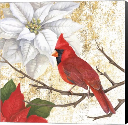 Framed Winter Birds Cardinal Print