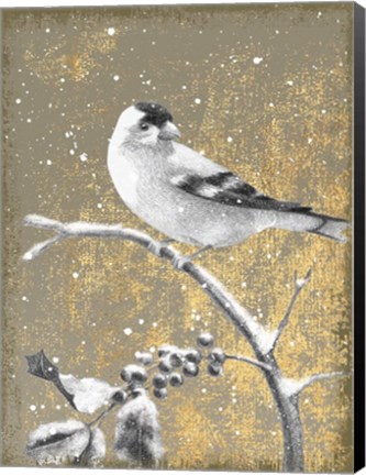 Framed Winter Birds Goldfinch Neutral Print