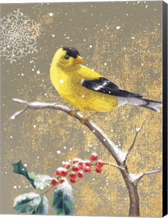 Framed Winter Birds Goldfinch Color Print