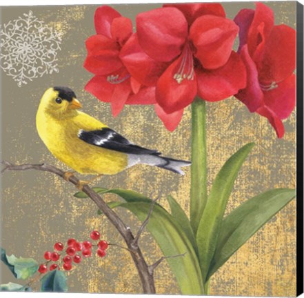 Framed Winter Birds Goldfinch Collage Print