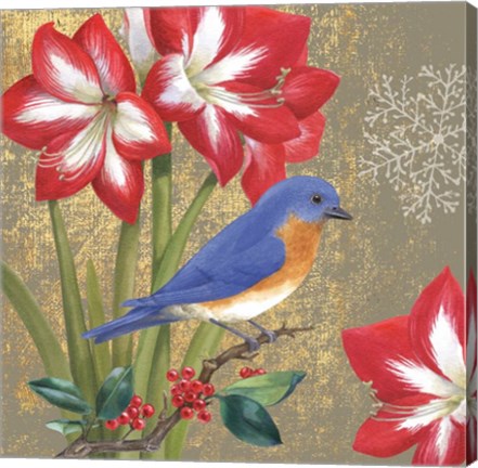 Framed Winter Birds Bluebird Print