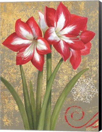 Framed Winter Birds Amaryllis I Print