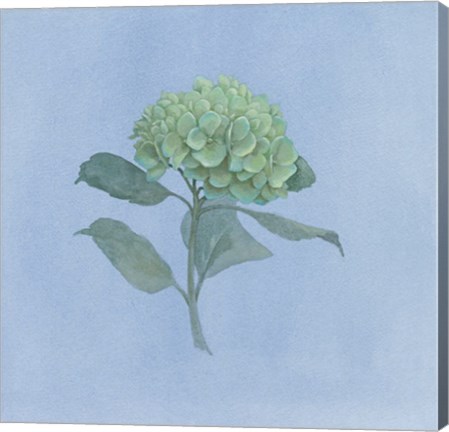 Framed Blue Hydrangea I Print