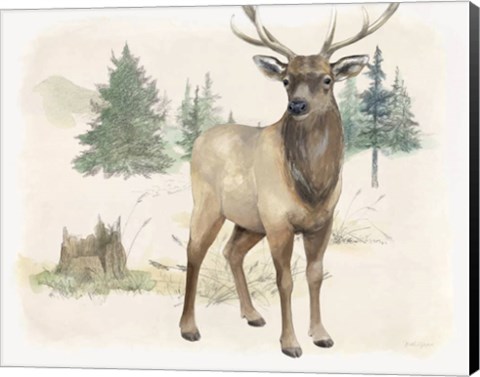 Framed Wilderness Collection Elk Print