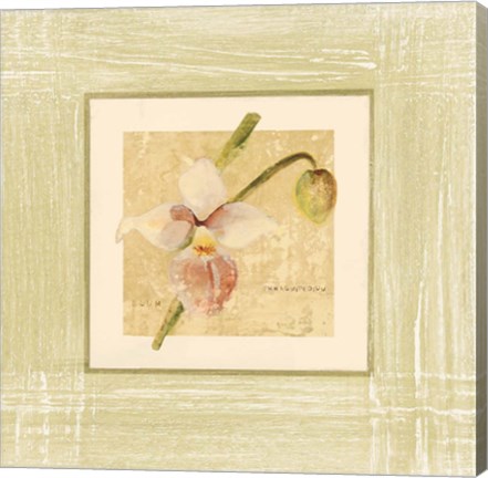 Framed Exotic Floral IV Print