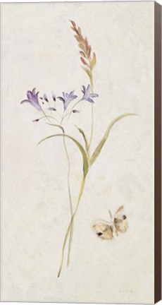 Framed Wild Wallflowers III Print