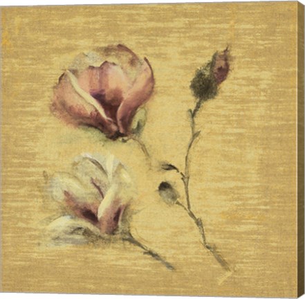 Framed Magnolia Blossom on Gold Print