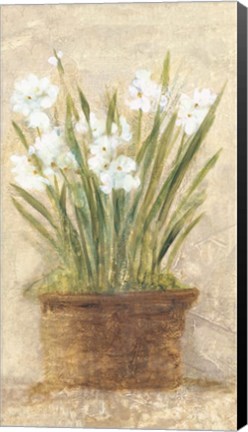 Framed Garden White Narcissus Panel Print