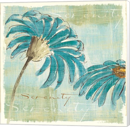 Framed Spa Daisies IV Print