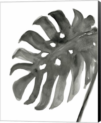 Framed Tropical Palm IV BW Print
