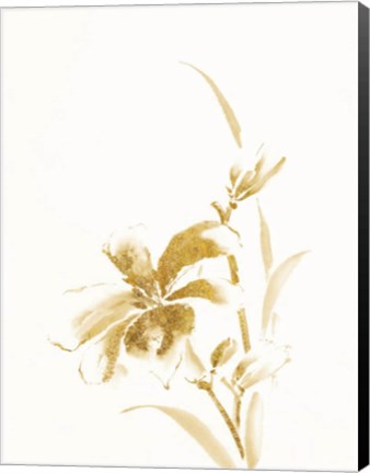 Framed Sumi Daylily IV Gold Print