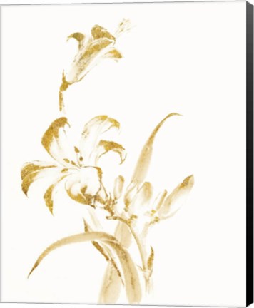 Framed Sumi Daylily II Gold Print