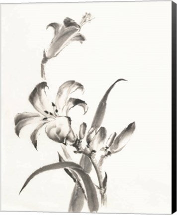 Framed Sumi Daylily II Print