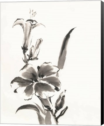 Framed Sumi Daylily III Print