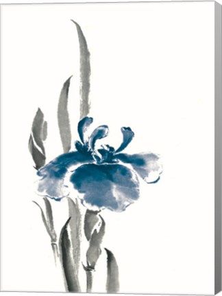 Framed Japanese Iris II Crop Indigo Print