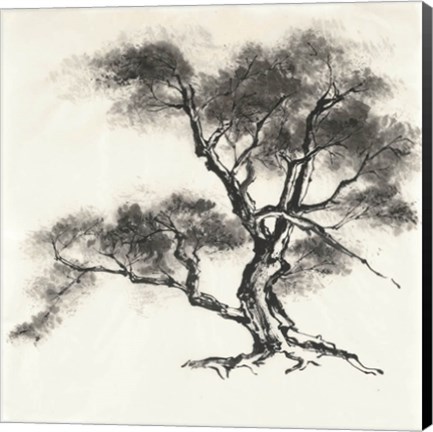 Framed Sumi Tree II Print