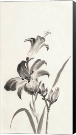 Framed Sumi Daylily I Print