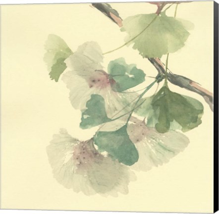 Framed Gingko Leaves II Print