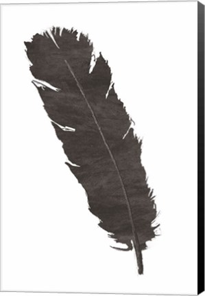 Framed Black Feather V Print