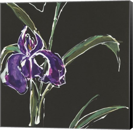 Framed Iris on Black II Print