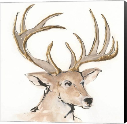 Framed Gilded Mule Deer Print