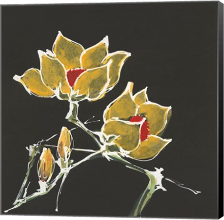 Framed Magnolia on Black II Print