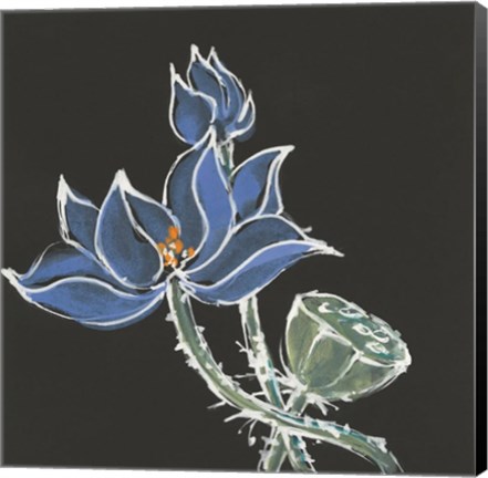 Framed Lotus on Black VI Print