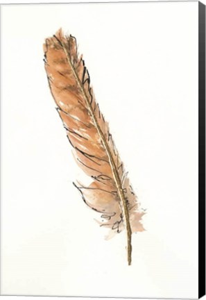 Framed Gold Feathers II Print