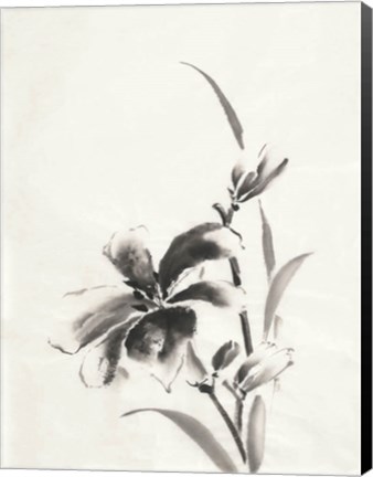 Framed Sumi Daylily IV Print