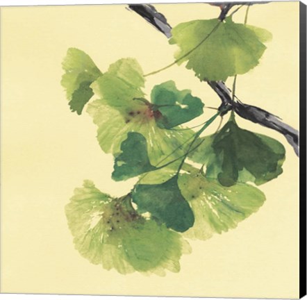 Framed Gingko Leaves II Dark Print