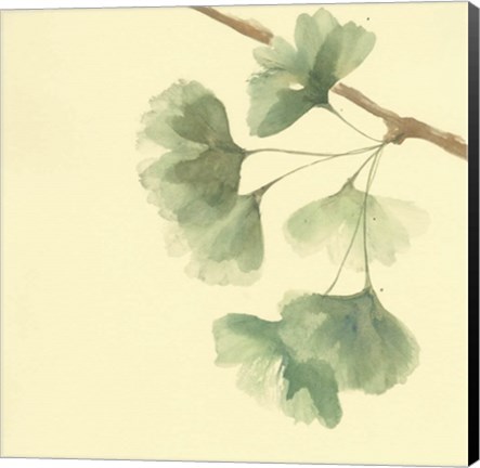 Framed Gingko Leaves III Print