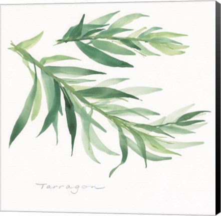 Framed Tarragon II Print