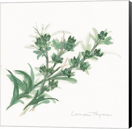 Framed Lemon Thyme Print