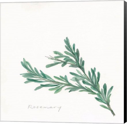 Framed Rosemary II Print