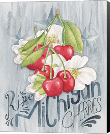 Framed American Berries III Print