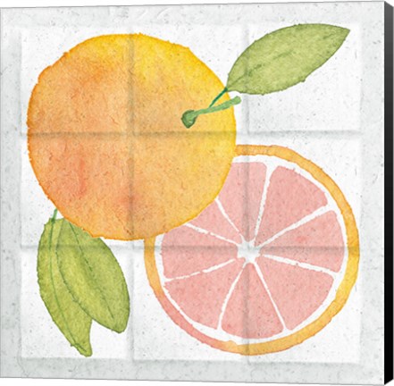 Framed Citrus Tile VIII Print