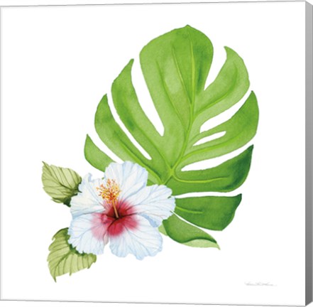 Framed Treasures of the Tropics VIII Print