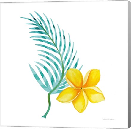 Framed Treasures of the Tropics IX Print