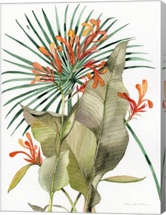 Framed Botanical Flame Lilies Print