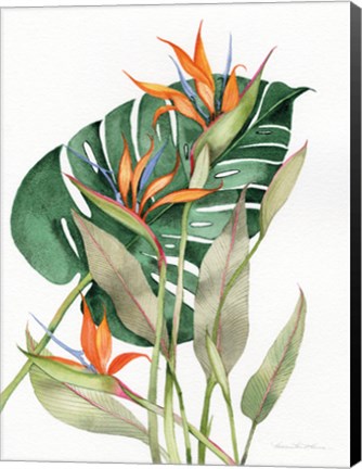 Framed Botanical Birds of Paradise Print