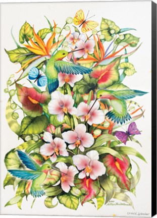 Framed Orchid Splendor with Birds Print