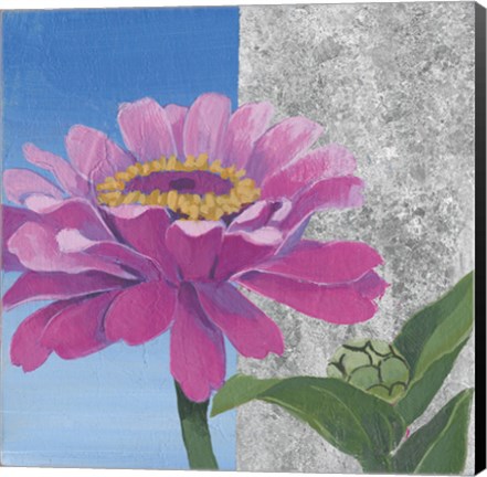 Framed Zinnia Pink and Silver Print