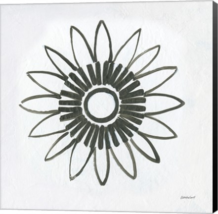 Framed Patterns of the Amazon Icon X Print