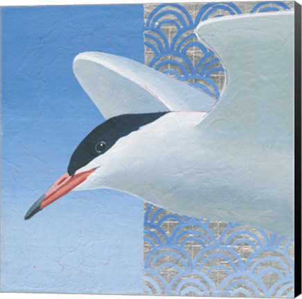 Framed Common Tern II Print