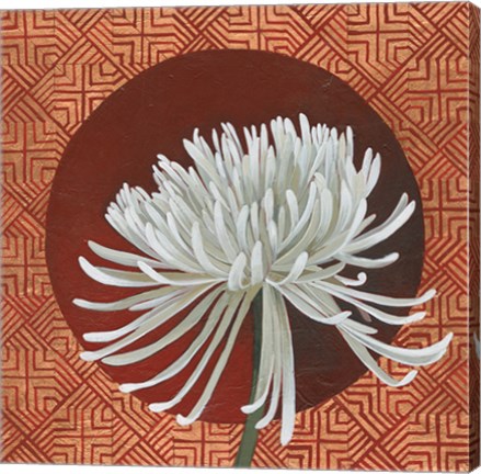 Framed Morning Chrysanthemum III Print