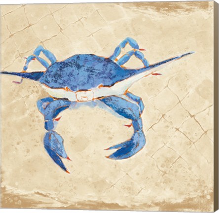 Framed Blue Crab VI Neutral Print