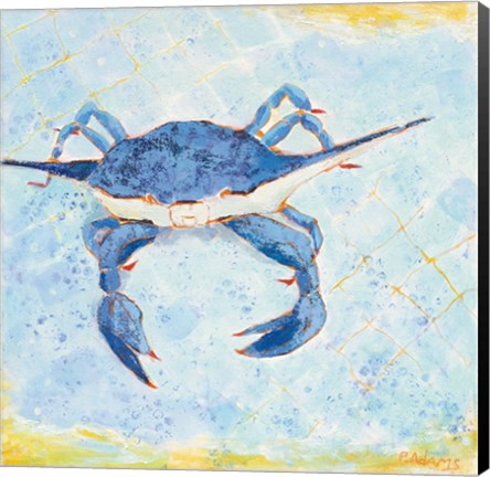 Framed Blue Crab VI Print