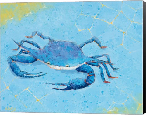 Framed Blue Crab V Print