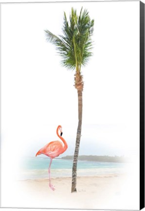 Framed Flamingo in Paradise Print